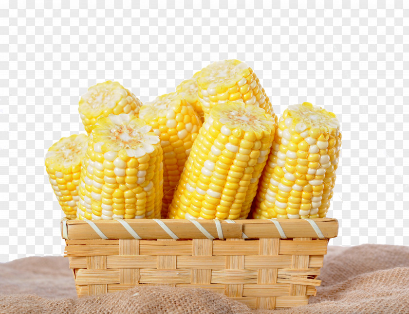 Corn Cereal Waxy On The Cob Polenta Popcorn PNG