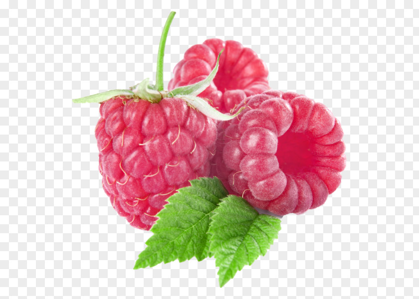 Fruits Raspberry Fruit Clip Art PNG