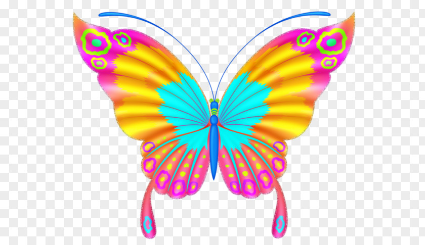 Generation Watercolor Butterfly Clip Art Borboleta Centerblog PNG