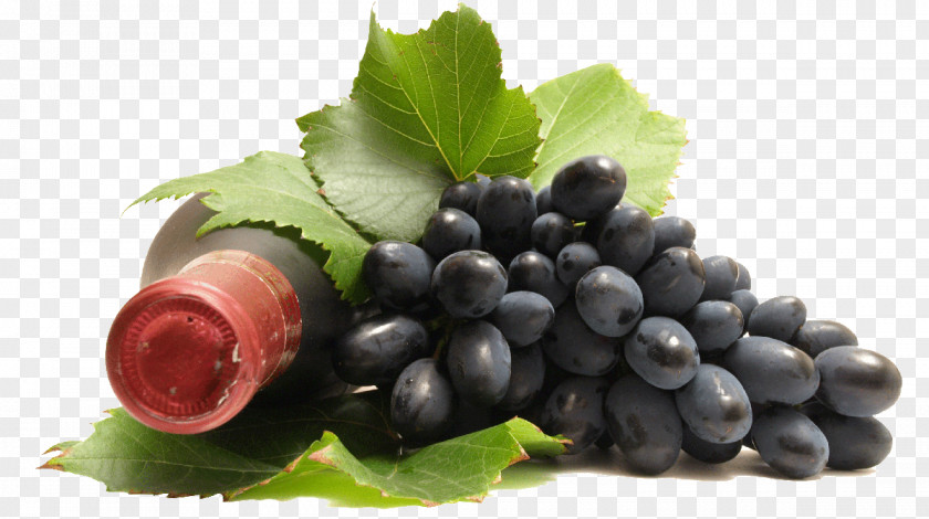 Grape Common Vine Straw Wine Isabella PNG