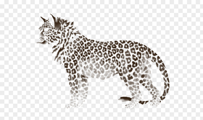 Leopard Whiskers Cheetah Jaguar Cat PNG