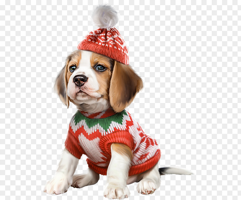 Puppy Pug Beagle Cavalier King Charles Spaniel Dachshund PNG