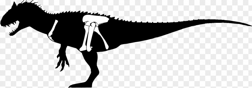 Silhouette Tyrannosaurus Indominus Rex Dinosaur PNG