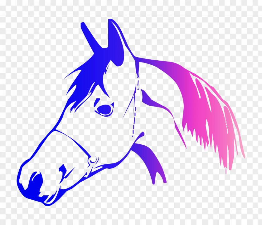 Baltimore Drawing Illustration Coloring Book Pony PNG