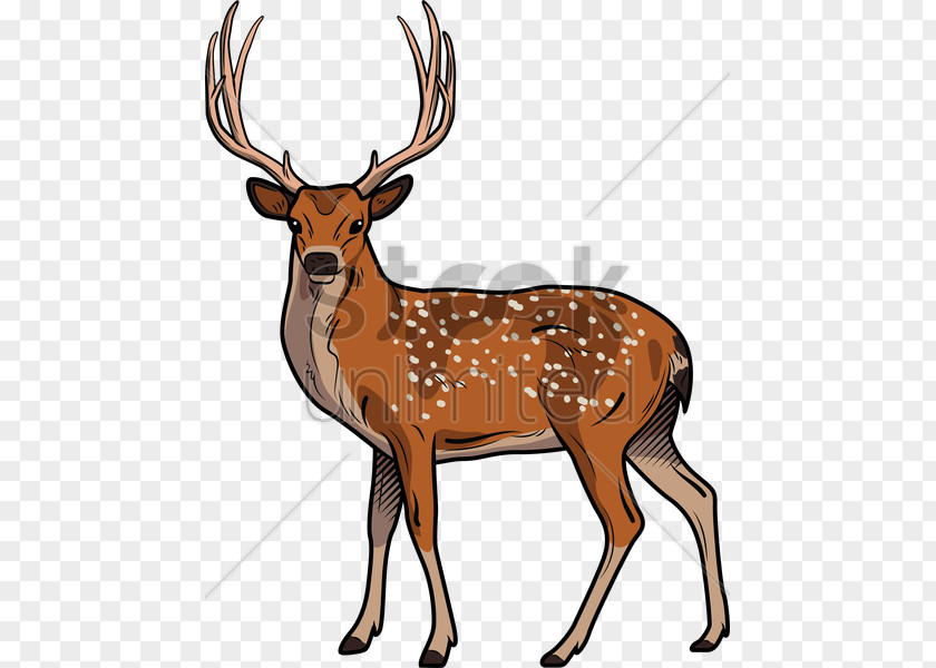 Deer Illustration Elk Clip Art PNG