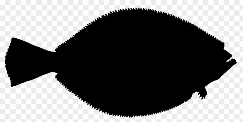 Flatfish Illustration Vector Graphics Drawing PNG