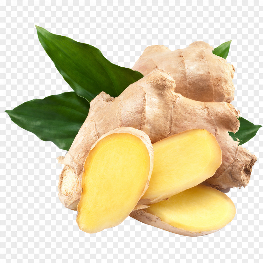 Ginger Pattern Ale Seed Vegetable Plant PNG