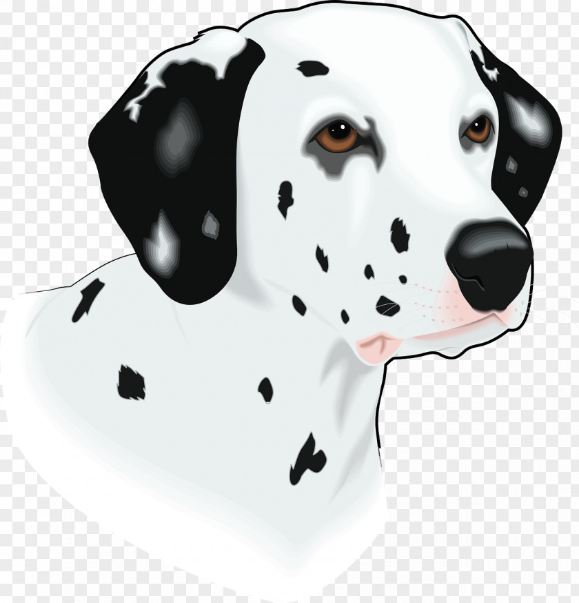 Puppy Dalmatian Dog Clip Art PNG