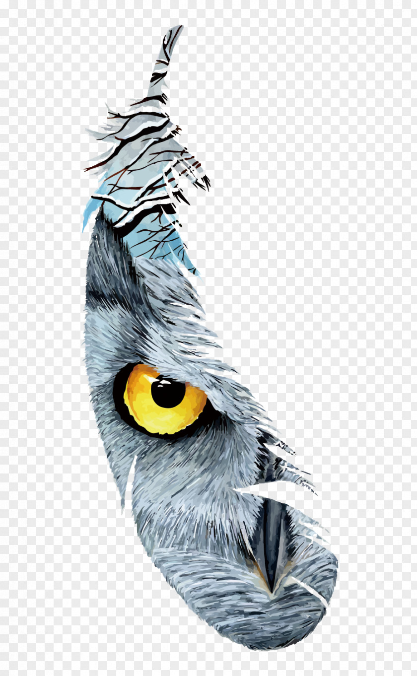 Vector Feather Hawk Eye Bird Euclidean PNG