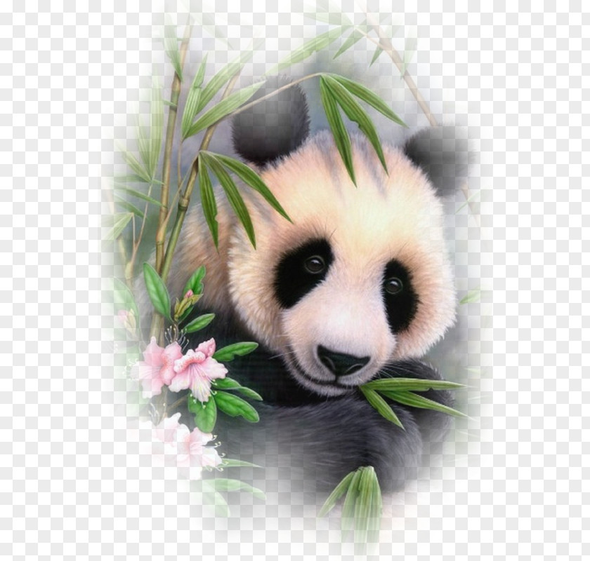 Bear Giant Panda Embroidery & Cross Stitch Cross-stitch PNG