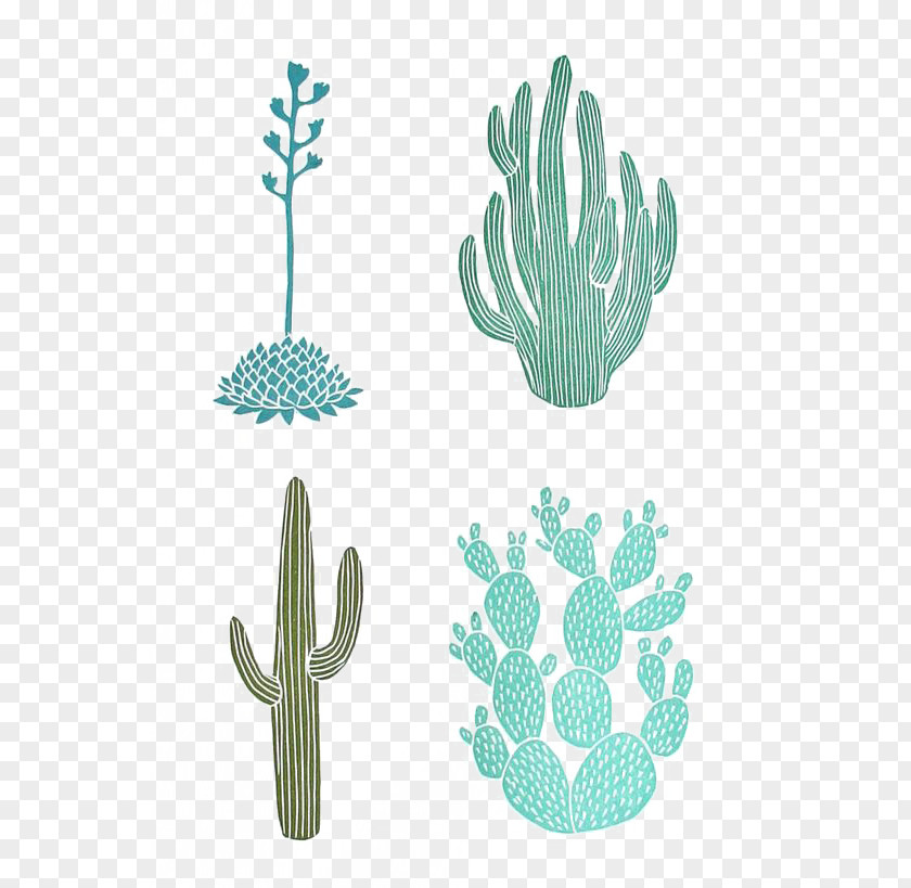 Cactus Selenicereus Grandiflorus Cactaceae Drawing Linocut Illustration PNG