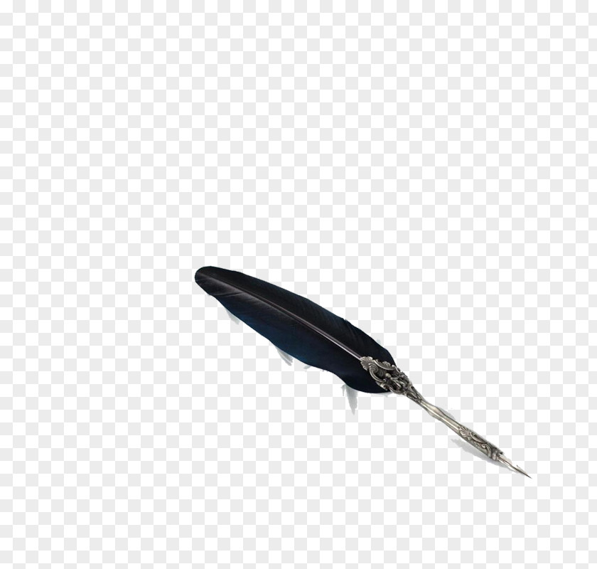 Feather Pen Fountain Quill PNG