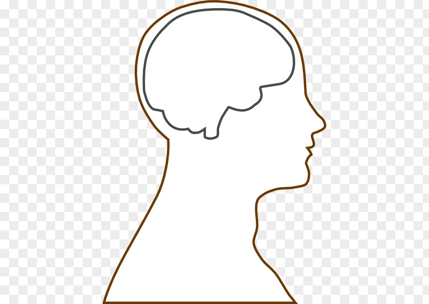 Human Brain Clipart Outline Of The Head Clip Art PNG