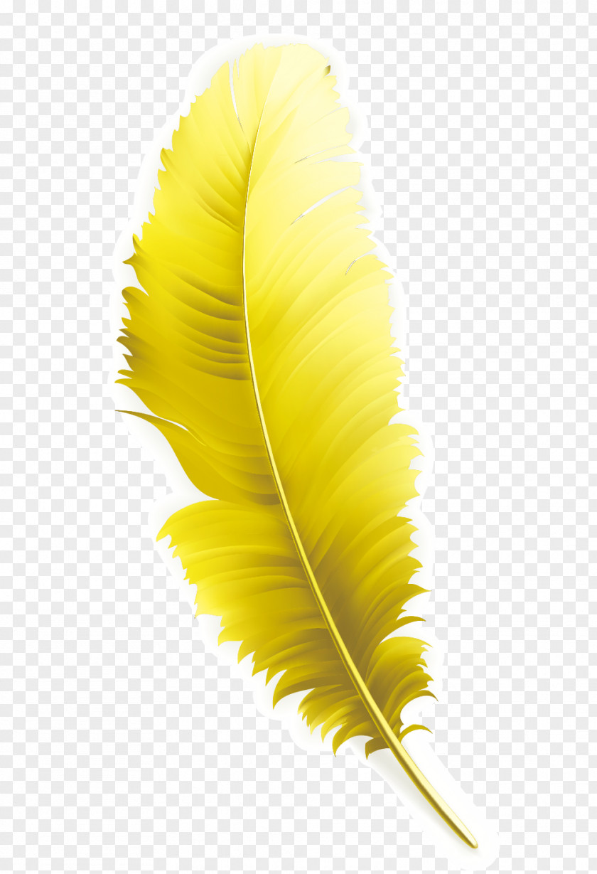 Yellow Feathers Feather Computer File PNG