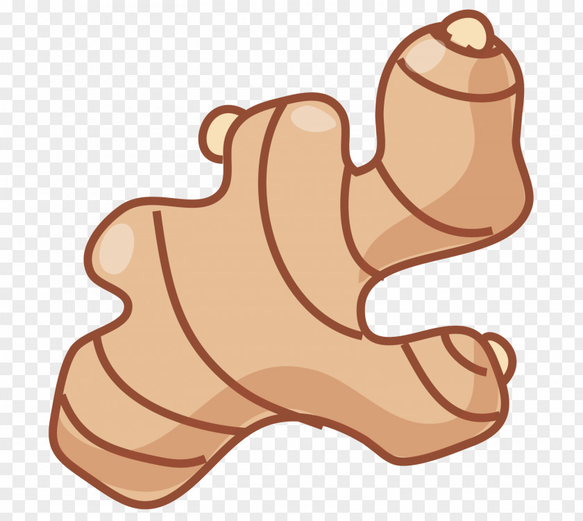 A Ginger Clip Art PNG