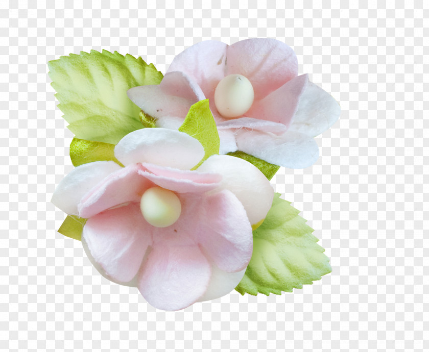 Baby Shawer Cut Flowers PNG