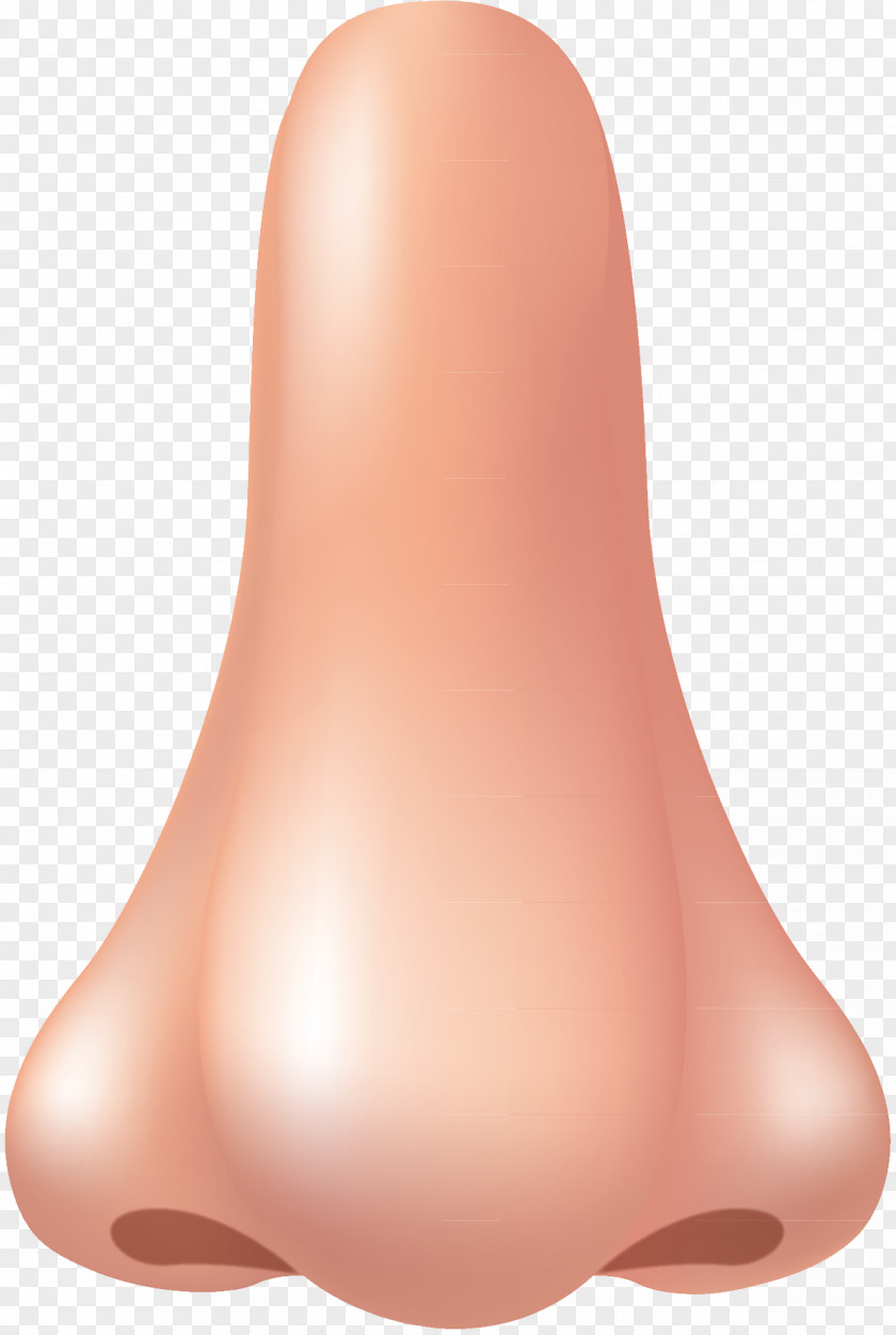 Human Nose Peach Design Product PNG