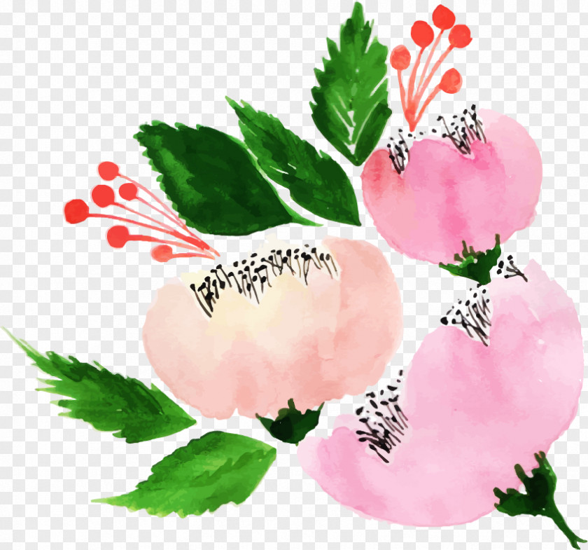 Pink Flower Leaf Plant Petal PNG