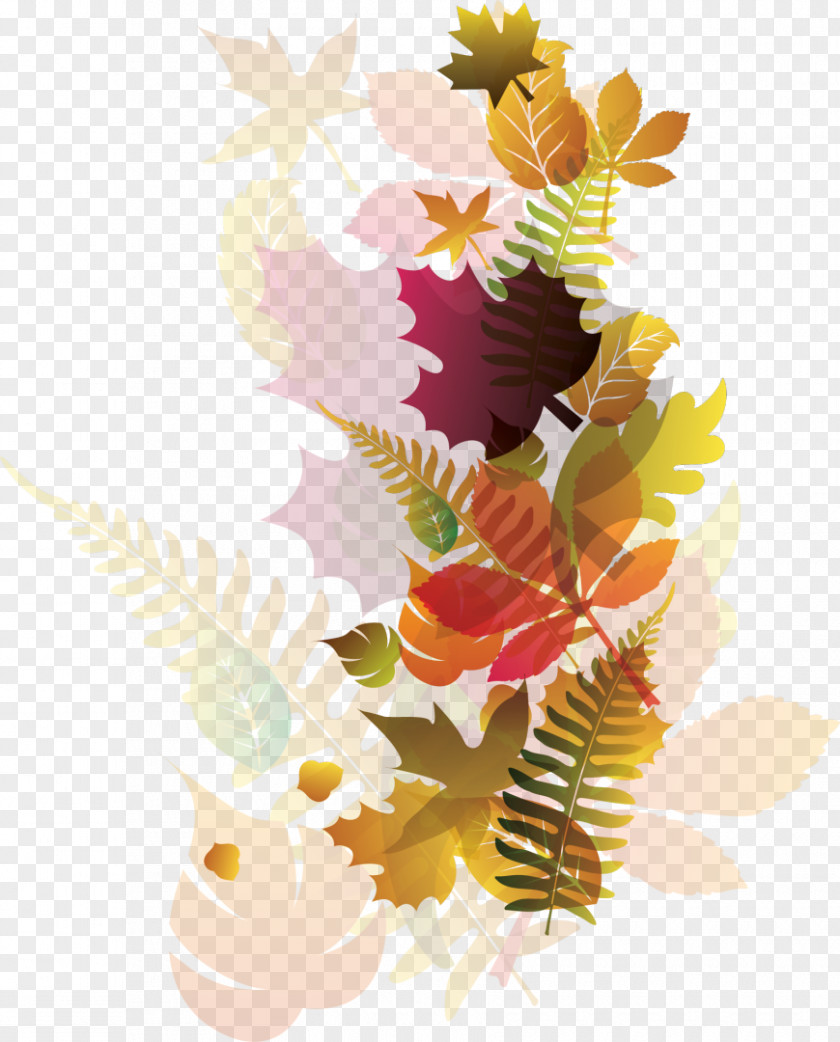 Scars Autumn Leaves Maple Leaf PNG