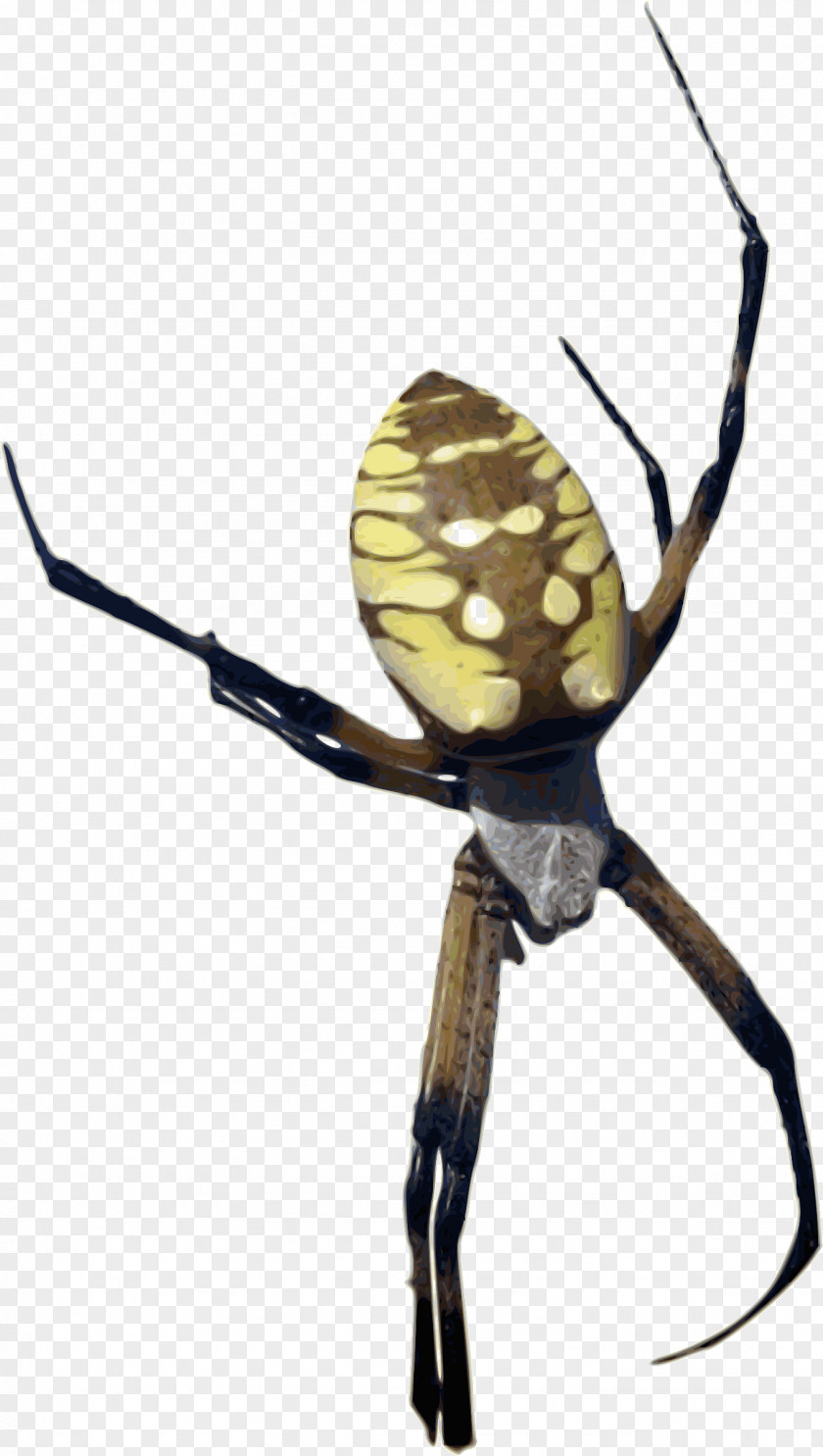 Spider I Love Spiders Yellow Banana Clip Art PNG