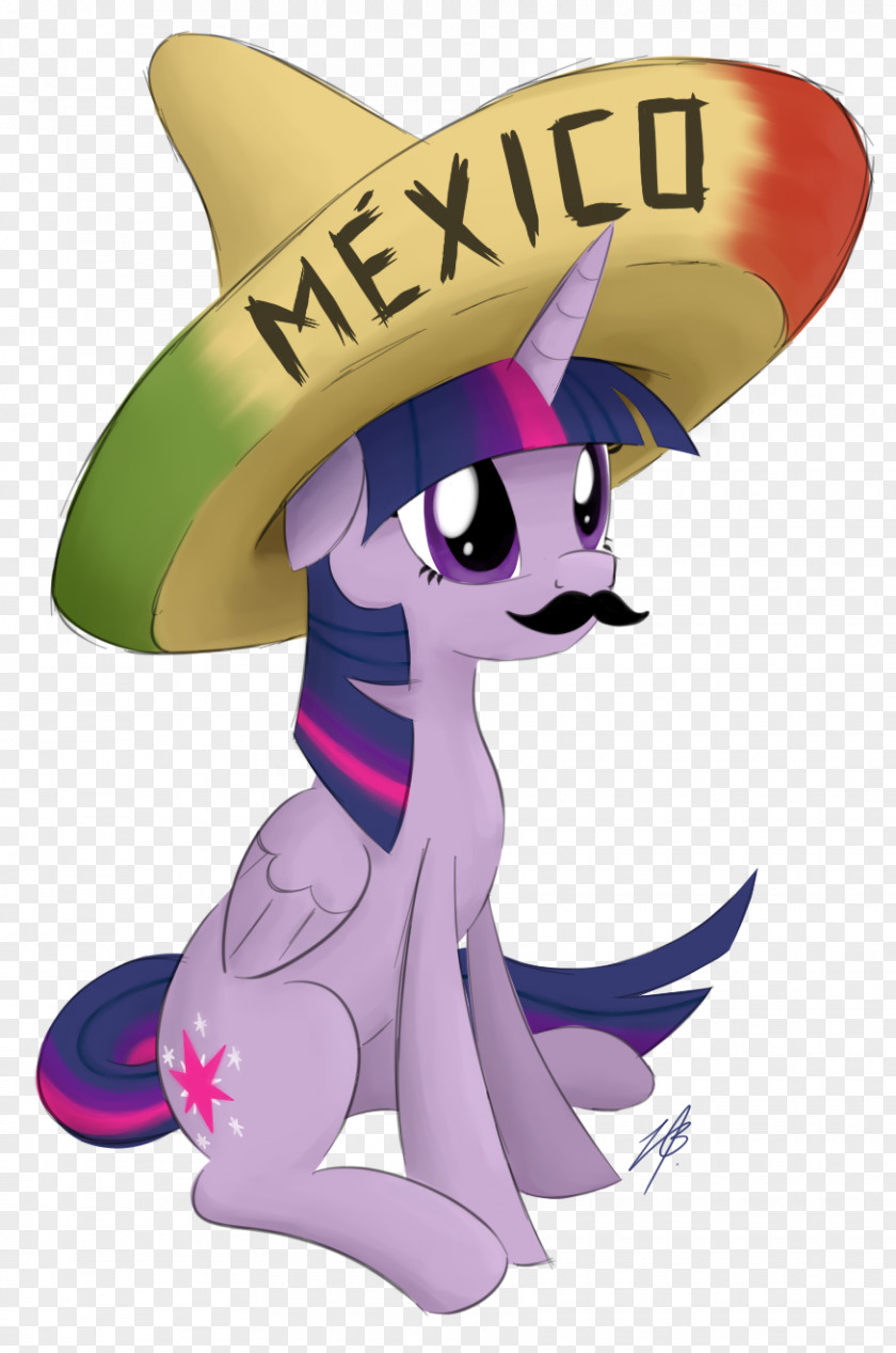 Twilight Pony Sparkle Sombrero Vueltiao Art PNG