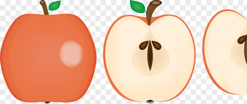 Apple Clip Art Food Healthy Diet Fruit PNG
