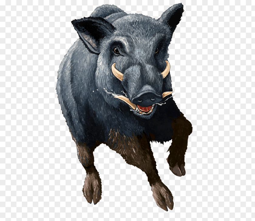 Boar Icon PNG