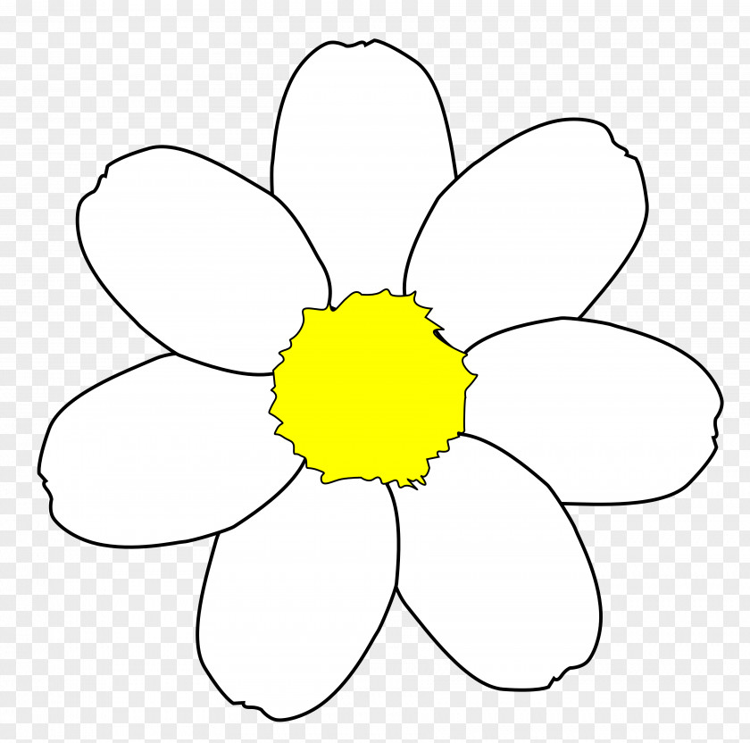 Free Daisy Clipart Common Content Clip Art PNG