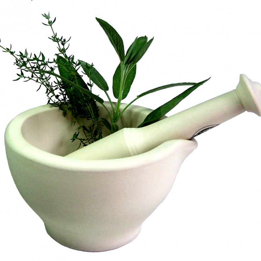 Herbs Central Institute Of Medicinal And Aromatic Plants Herb Medicine PNG