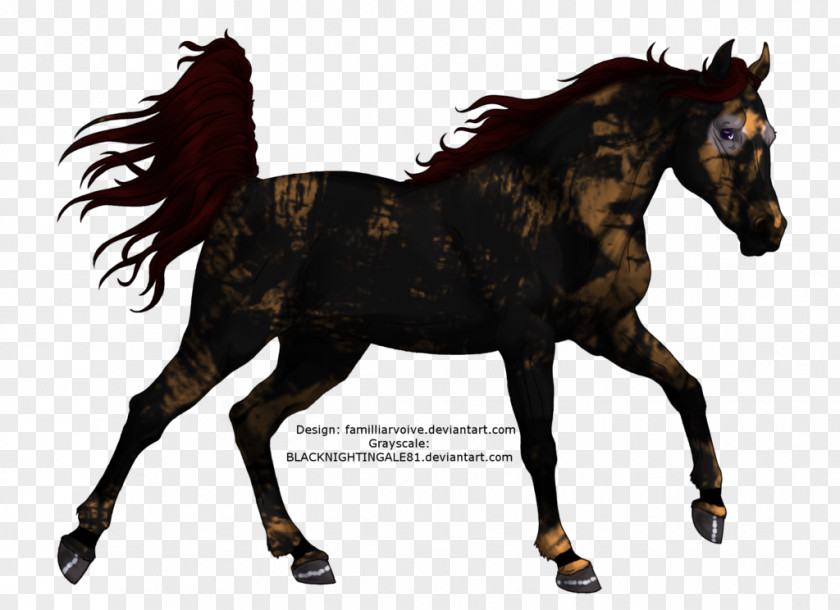 Mustang Pony Mare Colt Stallion PNG