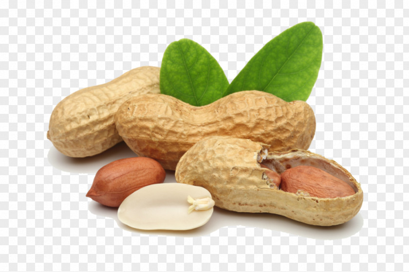 Peanuts Deep-fried Peanut Oil Tree Nut Allergy PNG