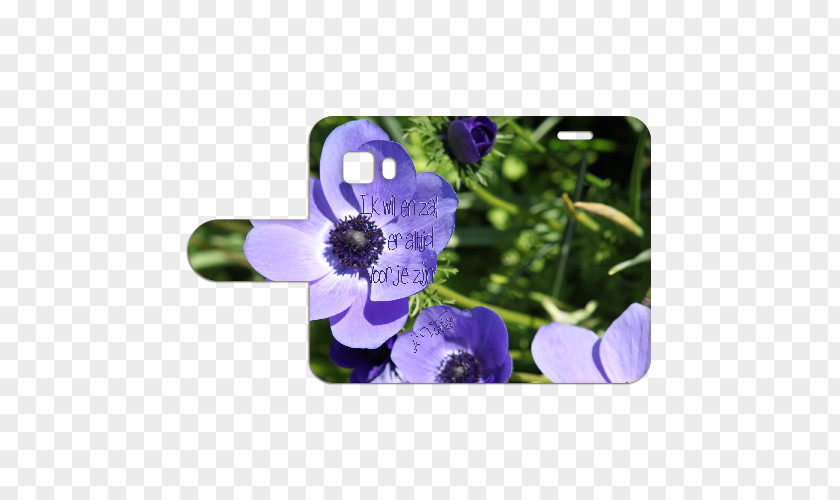 Samsung Galaxy Young 2 Anemone Petal Wildflower PNG