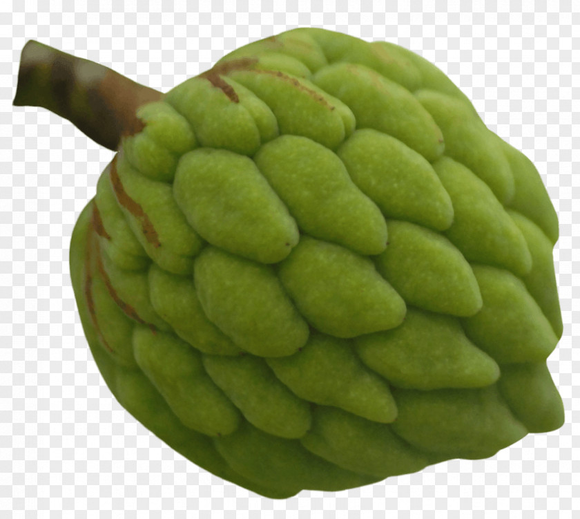 Apple Custard Sugar-apple Cherimoya Vegetarian Cuisine PNG