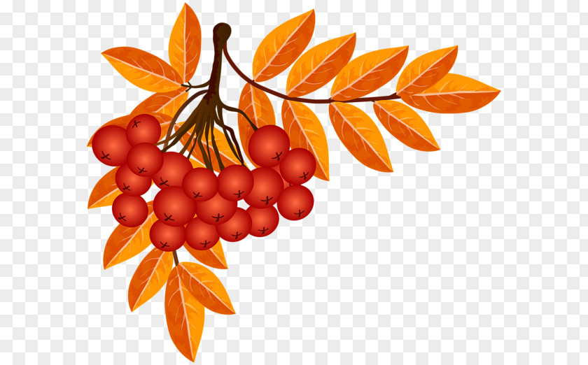 Fall Decoration Autumn Season Play Clip Art PNG