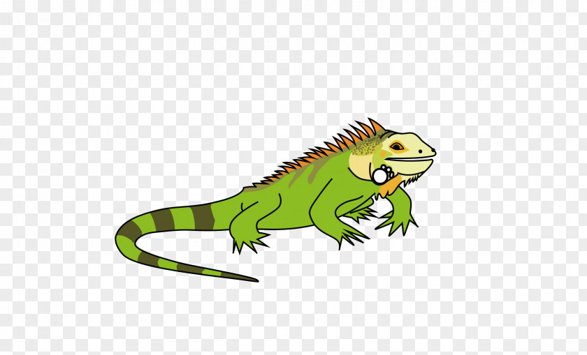 Gecko Marine Iguana Green Background PNG