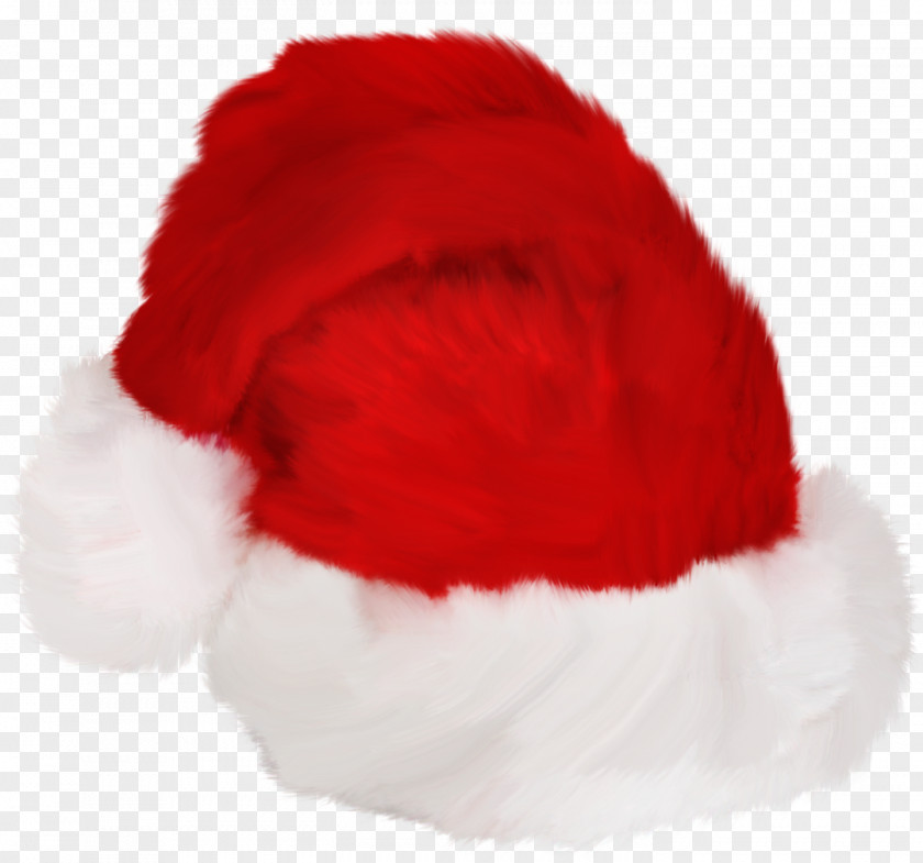 Red Hat Santa Claus Fur PNG