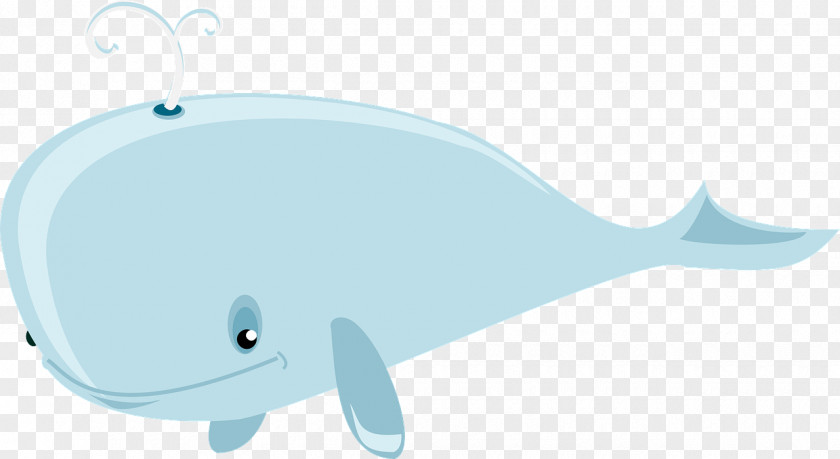 Whale Dolphin Porpoise Illustration PNG