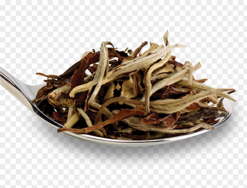 White Tea Golden Monkey Nilgiri Dianhong PNG