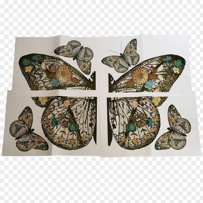 Butterfly Collage Art Turquoise Photomontage PNG