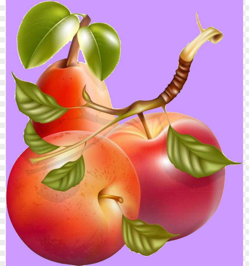 Fruit Business Propaganda Illustration Juice Smoothie Apple Clip Art PNG