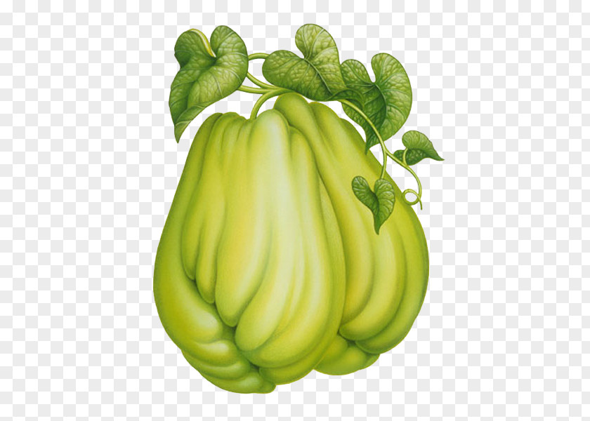 Melon Chayote Fruit Clip Art PNG