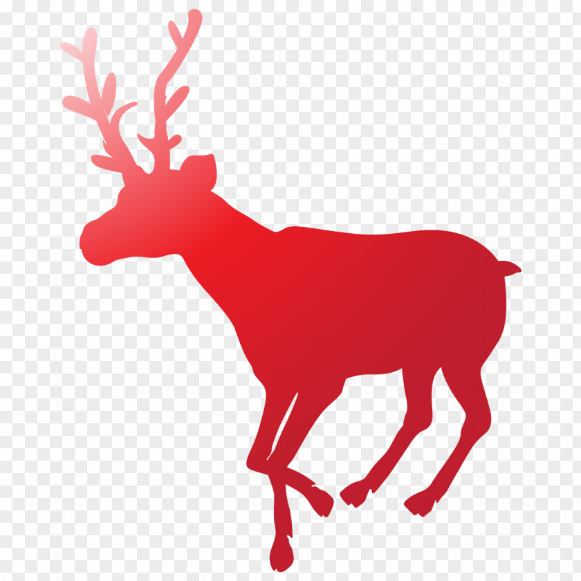 Reindeer Christmas Art Coyote PNG