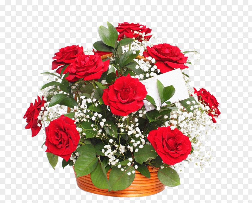 Shah Rukh Khan Flower Bouquet Garden Roses Baby's-breath PNG