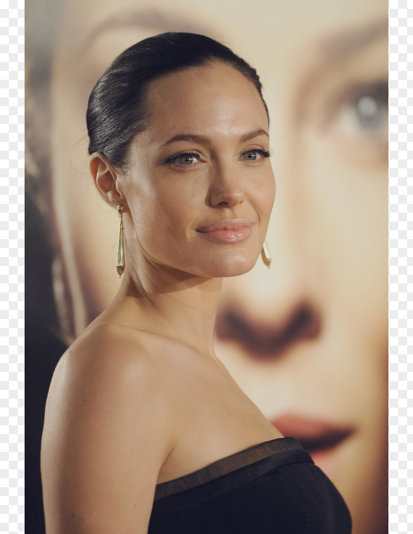 Angelina Jolie The Tourist Hairstyle Capelli Long Hair PNG