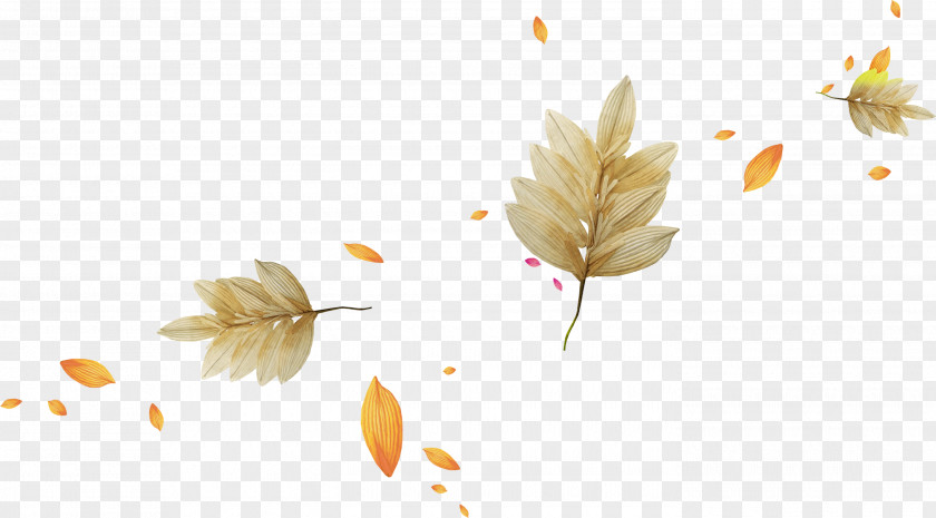 Autumn Photography Bit Clip Art PNG