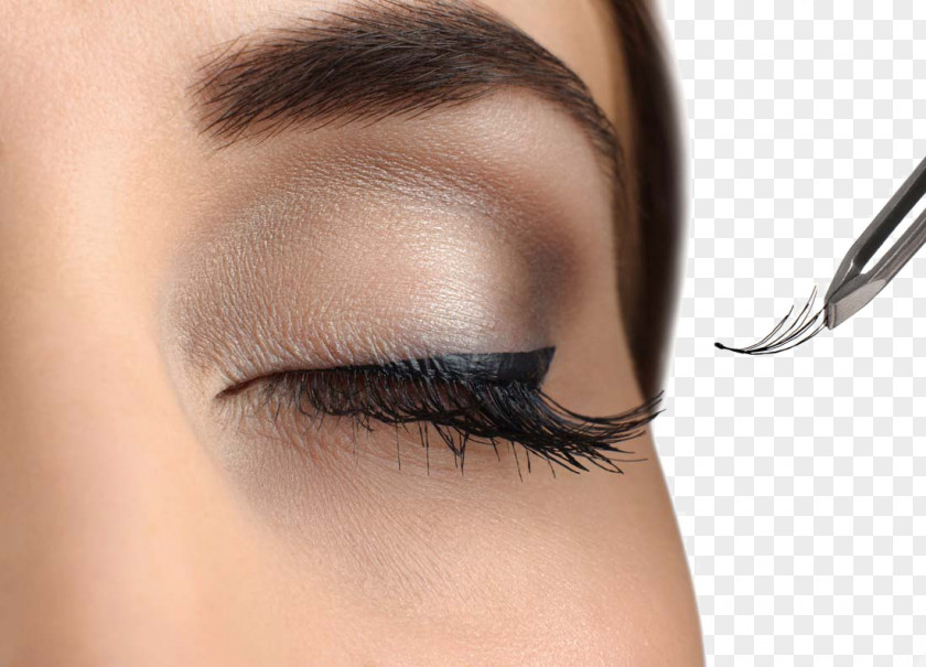 Long Eyelashes Woman Eyelash Extensions Artificial Hair Integrations Cosmetics Hairstyle PNG