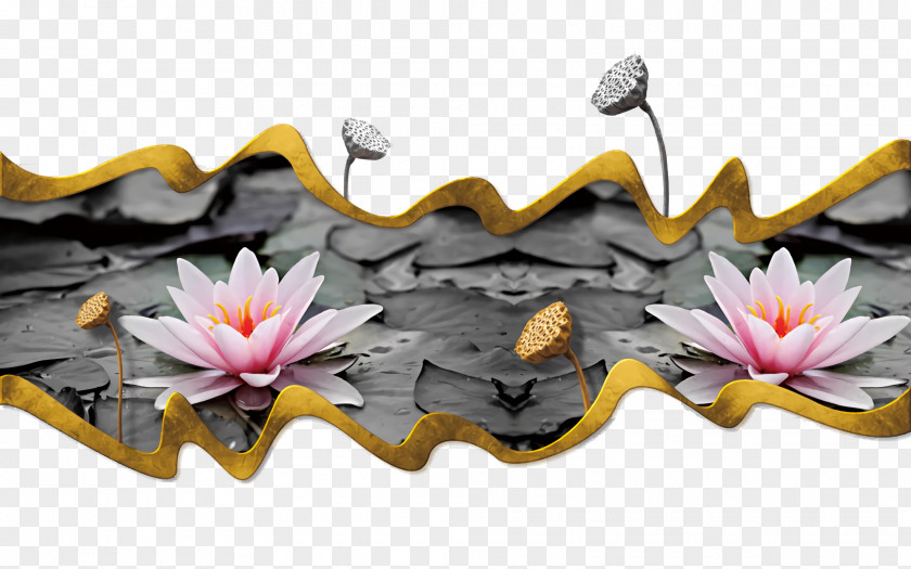 Petal Echeveria Lotus PNG