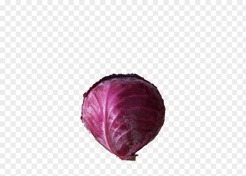 Purple Cabbage Red Juice Savoy Organic Food PNG