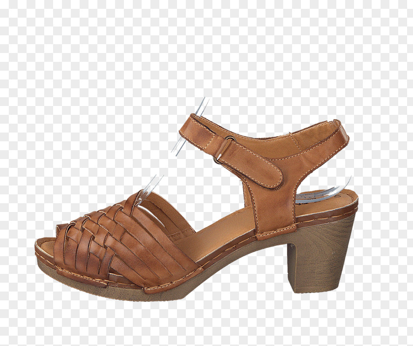 Sandal Slide Shoe Walking Pump PNG
