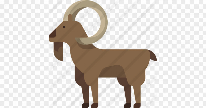 Sheep Barbary Goat General Authority For Statistics Saudi Arabia PNG